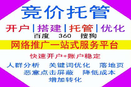 网站sem托管案例分享：如何精准投放广告